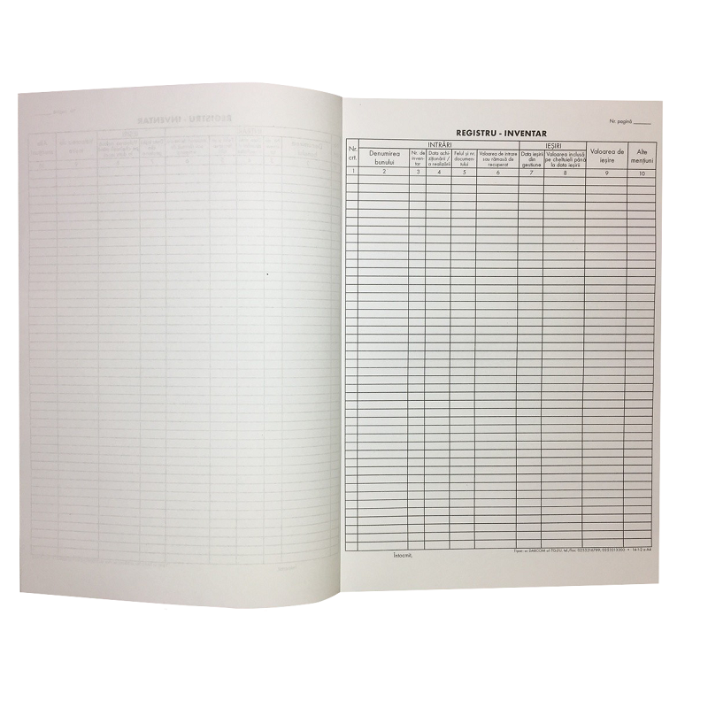 REGISTRU INVENTAR A4 100 FILE
